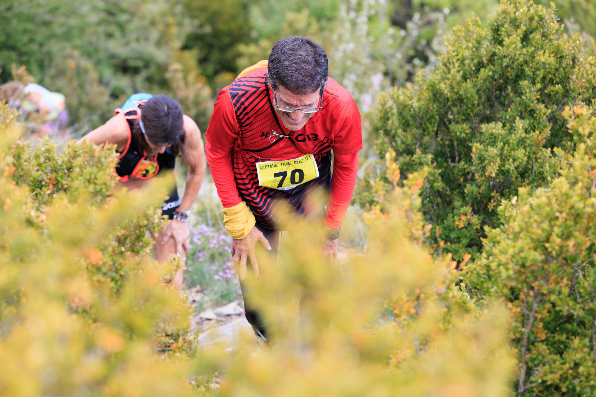 RUTA/TRAIL